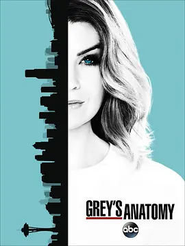 实习医生格蕾第十三季Grey&#039;sAnatomySeason13